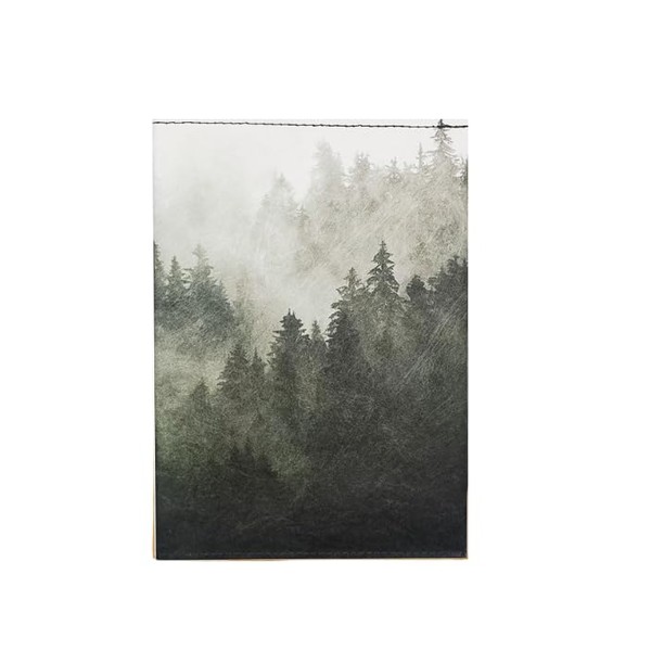 Paprcuts RFID Reisepasshülle Super schlanke Schutzhülle mit 2 Kartenfächern und