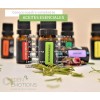 Edén Emotions Aceite Esencial Orégano 100% Natural Y Puro 11