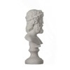 ZEUS Greek God of the Sky Greek Roman Bust Head