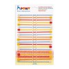 Pony Childrens Kids Starter Knitting Needles Knit Pins Length 18cm
