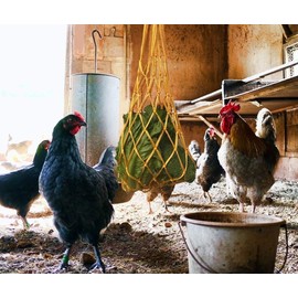 4PCS Feeder Chicken Vegetable String Bag, Poultry Fruit Holder Chicken Cabbage Feeder Treat Feeding Tool with Hook for Hens Coop Toy for Hen Goose Duck Large Birds (Multiple Colors, One Size)