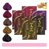 Cosmetitodo Paquete 10 Piezas Shampoo Tinte Instantaneo 15min Cubre Cana