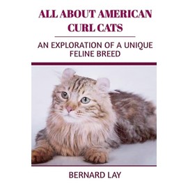  All About American Curl Cats: An Exploration Of A Unique Feline Breed