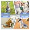 Grecle Reusable Dog Diapers Male 3Pcs, Premium Washable Belly Bands