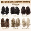 TESS Ponytail Clip Extensions, 45 cm Wavy Ponytail Hairpiece, #2A
