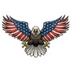 American Eagle-Projection LED Wings/by Terminal Velocity Motorcycle Accessories. Underglow Lights