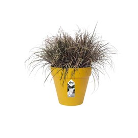 elho Loft Urban Round 30 - Flower Pot for Outdoor Use - 100% Recycled Plastic - Diameter 28.5 x Height 26.0 cm - Yellow/Ochre