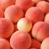 Pretty Skin Peach Lip Balm 9g / 프리티스킨 피치 립밤