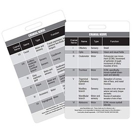 Cranial Nerve Chart Reference Vertical Badge Card - Excellent Resource for Nurses, Nursing Clinicals, and RN Students - Great Nursing School Supplies and Accessories