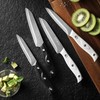 HAMMER IRON ALLEY 4PCS Paring Knife - 4/4.5 inch Fruit