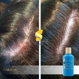 Shampoo Anticaspa Con Seda, Pachuli, Argán Terramar / 180 Ml