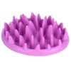 Pet Dog Slow Food Feeder Anti Choke Cat Eating Bowl