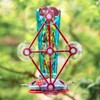 Window Hummingbird Feeder with 5 Strong Suction Cup 16 Ounces