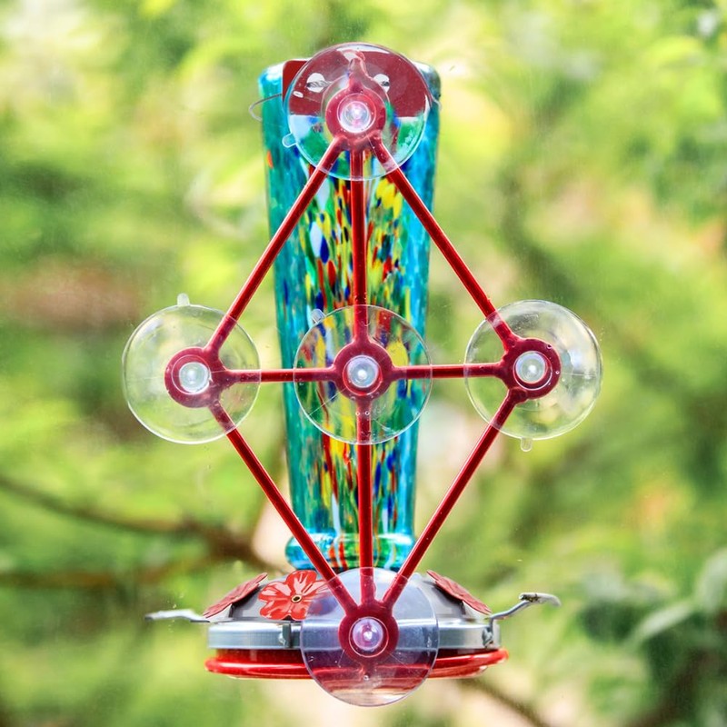 Window Hummingbird Feeder with 5 Strong Suction Cup 16 Ounces