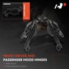 A-Premium Front Driver and Passenger Hood Hinges Compatible with Ford