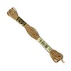 DMC 117-840 6 Strand Embroidery Cotton Floss, Medium Beige Brown,