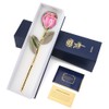 Ejoyous Gold Rose