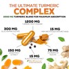 Turmeric Curcumin Supplement 2000mg with Glucosamine Chondroitin & Ginger, 95%