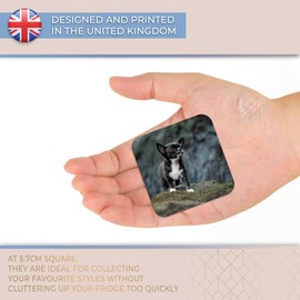 Destination Vinyl ltd Fridge Magnet - Tiny Baby Chihuahua Dog Puppy Cute for Office, Cabinet and Whiteboard, Magnetic Stickers, 46361