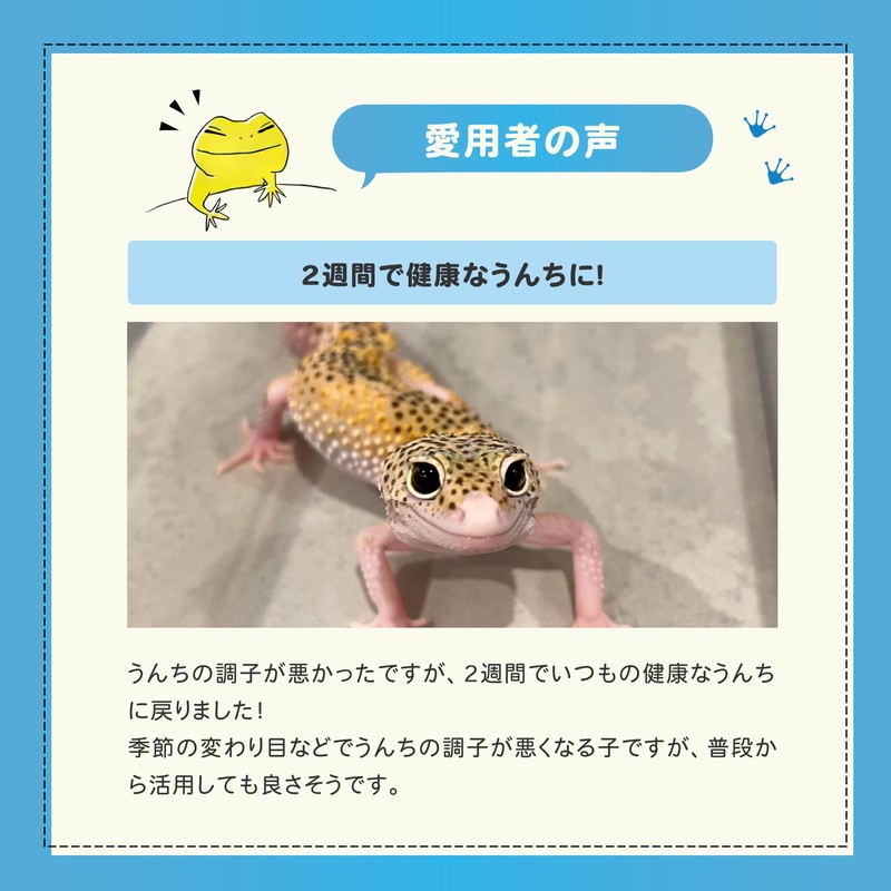 【レプケア乳酸菌】 爬虫類・両生類の腸内環境を整えるサプリメント（30g）〜乳酸菌×コオロギの力で健やかな毎日を〜