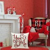 Ueerdand Valentines Day Pillow Covers 20x20 inch Set of 4
