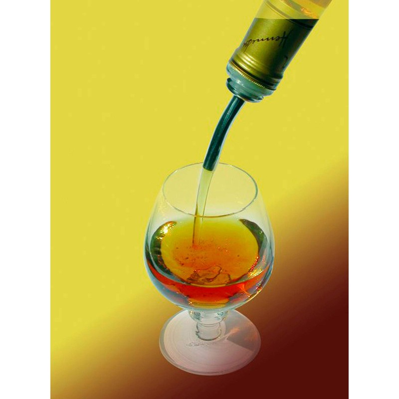 Fackelmann 2 Pieces 4" Of Stainless Steel/Pp Bottle Server Set,