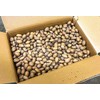 20 lbs - Texas Squirrel Pecans Inshell | Pecans.com |