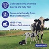 Symbiotics Colostrum 120ct Vegetable Capsules - Immunity Support - Lactoferrin