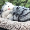 (Set of 3) Real doll mini cat activated carbon deodorizer car doll Indoor Bengal/FREE 5ea