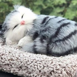 (Set of 3) Real doll mini cat activated carbon deodorizer car doll Indoor Bengal/FREE 5ea