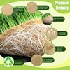 luperasol 1 Roll 10" X 236"Microgreen Grow Mat, Hydroponic Grow