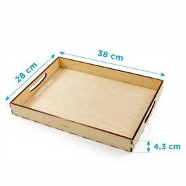 Ulanik Tray for Sorting Montessori Wooden Sorting Tray Age 3+, Color Sorting and Counting Preschool Learning Education Toys