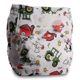 Littles & Bloomz, Reusable Pocket Cloth Nappy, Fastener: Hook-Loop, Set of 1, Pattern 56, with 1 Bamboo Insert