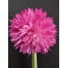 Nearly Natural Artificial 26" allium stem FUCHSIA