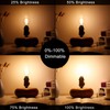 LiteHistory e12 led dimmable g16.5 Light Bulb 6W Equal 60