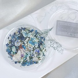 [AAGWW] dried flowers nail parts pressed flowers natural flowers flower decoration parts workshop supplies star flower (garden oil painting series, color: C)