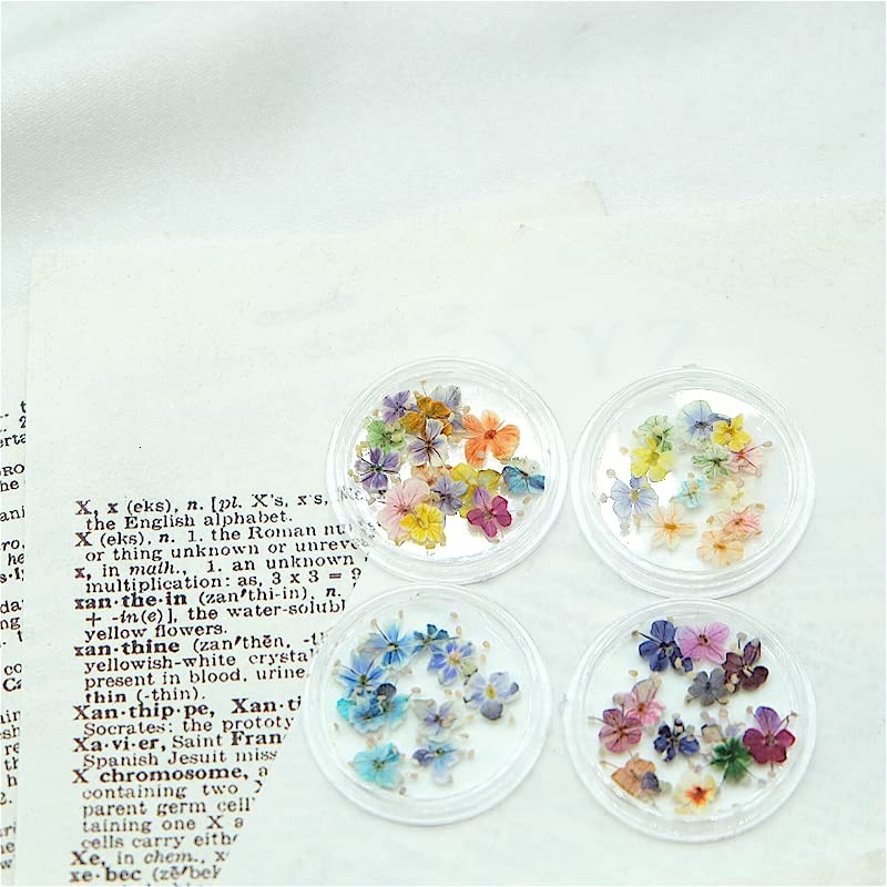 Set of 48 Handmade Mini Pressed Flowers, Dried Flowers, Small,