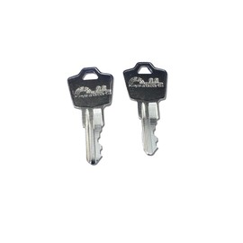 SentrySafe Replacement Key M Code | Compatible with Sentry Fireproof Boxes & Chests | KEYSALACARTE Brand | Cut on 1531 Key Blank
