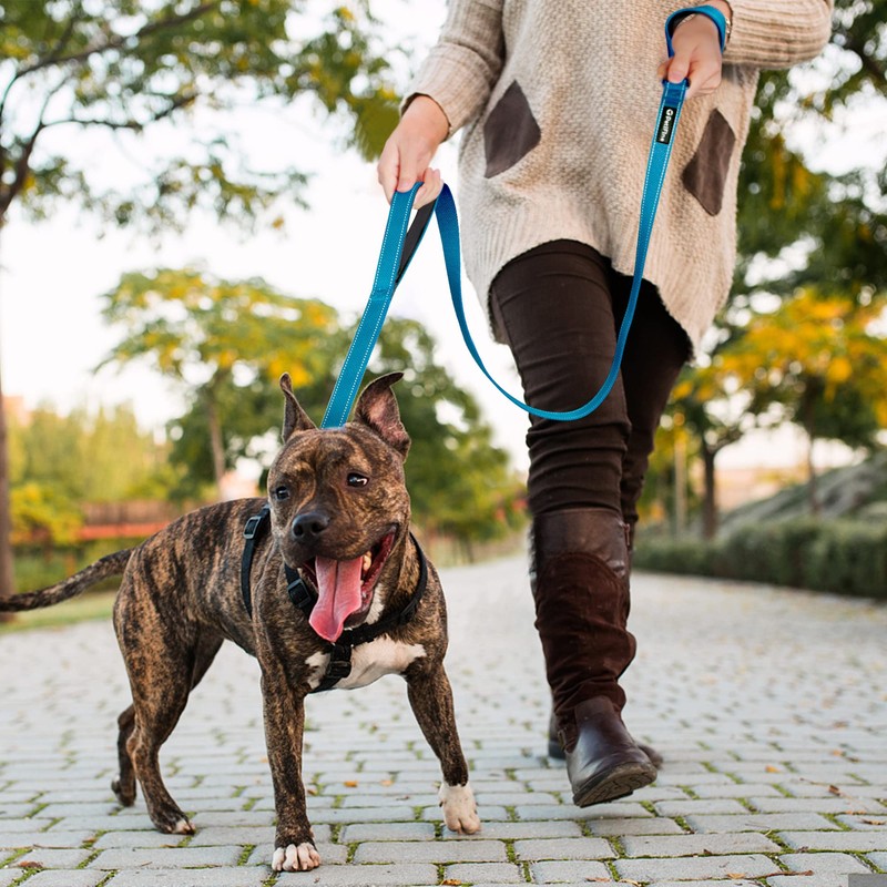 PetiFine 4FT Heavy Duty Dog Leash with Soft Padded Double