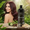 Shampoo Azabache Cola De Caballo Biotina Bergamota 500ml