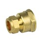 hep® 15mm Compression by 3/4" BSP Brass Female Iron Coupler