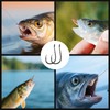FishTrip Octopus Baitholder Fishing Hooks, 50/100pcs Sharp Barbed High Carbon