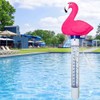 Pool Thermometer Floating Water Temperature Meter with String Swimming Pool