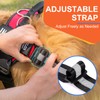 Essential Dog Harness, No Pull Pet Harness with 3 Side
