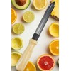 Wooden Handle Pumpkin Carving Tool and Vegetable Core Remover, Kitchen