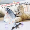 movingfish cat toy fish electric moving pet dog real dancing