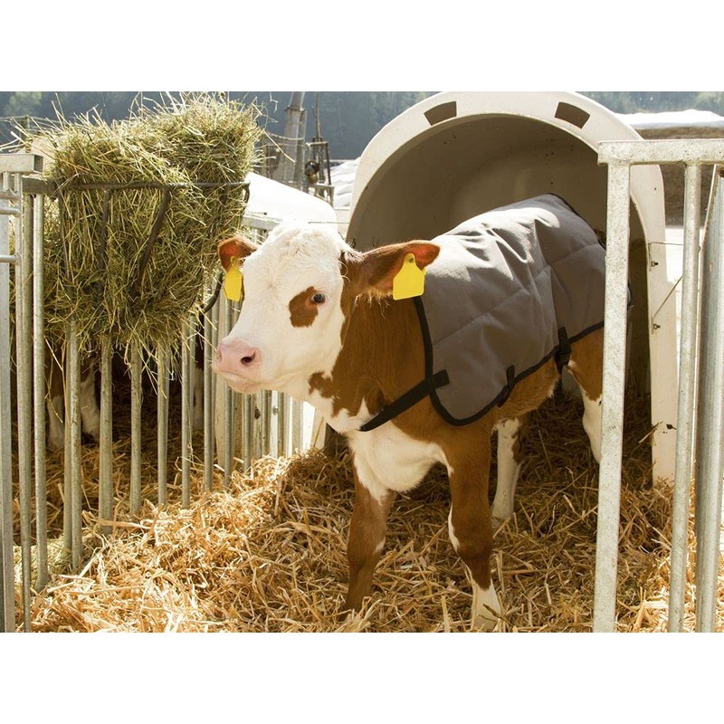 Agritura Calf Coat Ripstopp,back length 70 cm - A24921