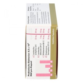 Lactobiogen Kapseln