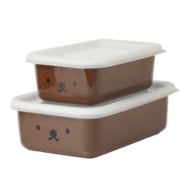 富士ホーロー 浅型角容器 2点セット 0.45L 0.76L ボリスフェイス MFB-2SM