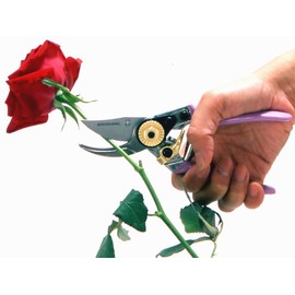 Mac Kin no Hana Pruning Shears for Women (with Exclusive Case)